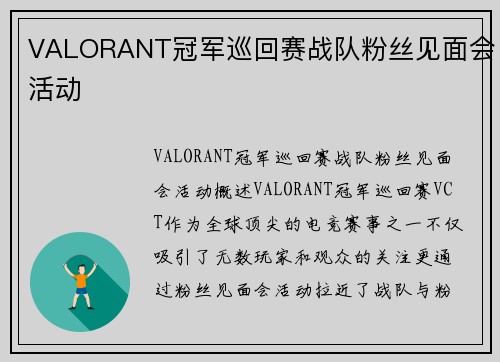 VALORANT冠军巡回赛战队粉丝见面会活动